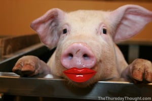 Lipstick on a pig image